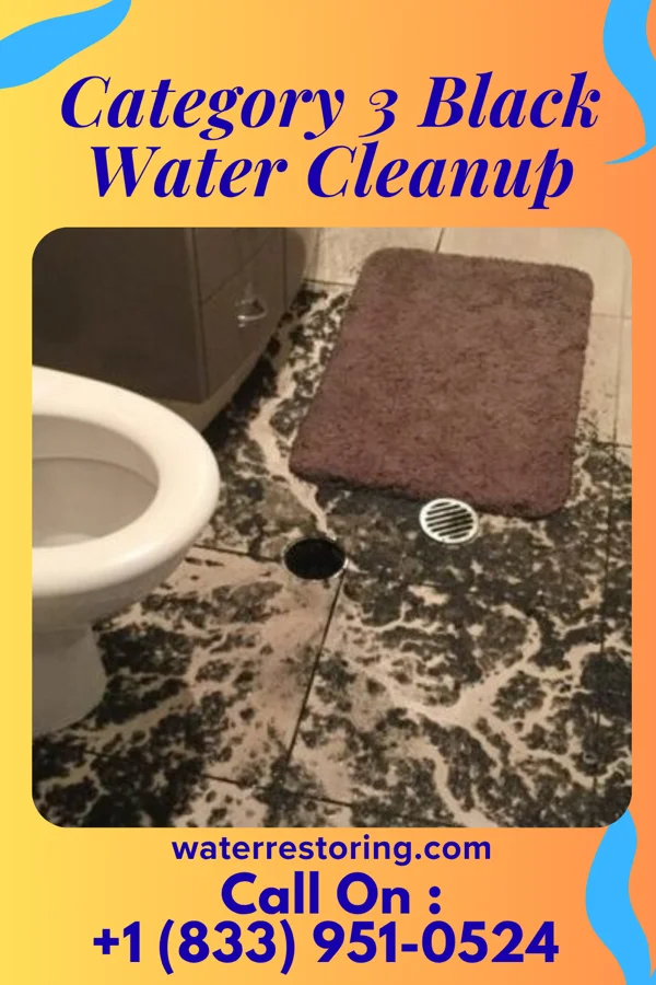 Category 3 Black Water Cleanup in Ramsey, NJ