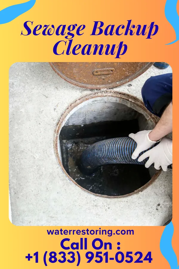 Sewage Backup Cleanup in Ramsey, NJ