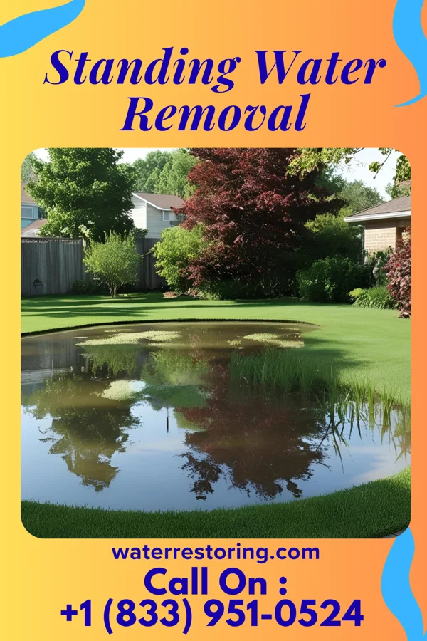 Standing Water Removal in Ramsey, NJ